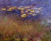 克劳德 莫奈 : Agapanthus